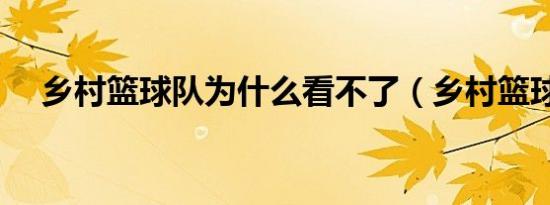 乡村篮球队为什么看不了（乡村篮球队）
