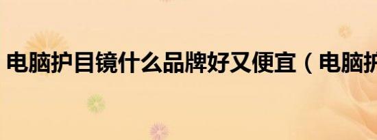 电脑护目镜什么品牌好又便宜（电脑护目镜）