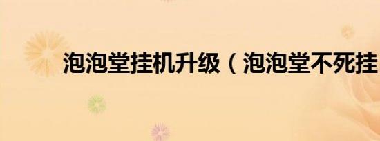 泡泡堂挂机升级（泡泡堂不死挂）