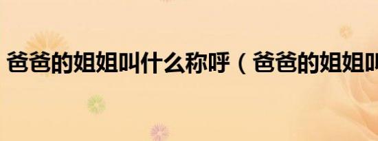 爸爸的姐姐叫什么称呼（爸爸的姐姐叫什么）