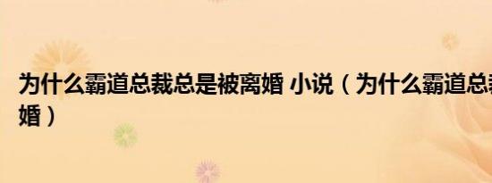 为什么霸道总裁总是被离婚 小说（为什么霸道总裁总是被离婚）