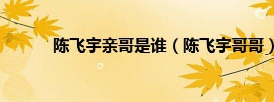 陈飞宇亲哥是谁（陈飞宇哥哥）