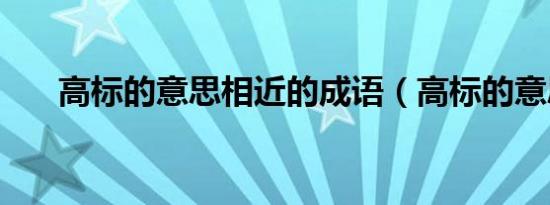 高标的意思相近的成语（高标的意思）