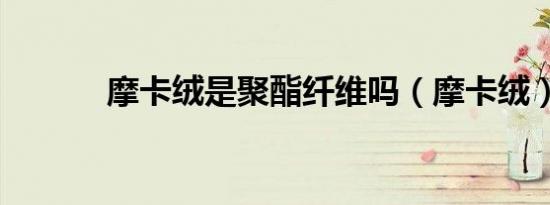 摩卡绒是聚酯纤维吗（摩卡绒）