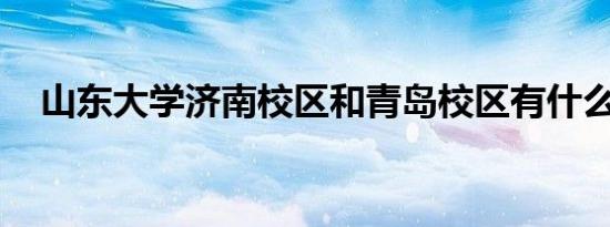 山东大学济南校区和青岛校区有什么区别