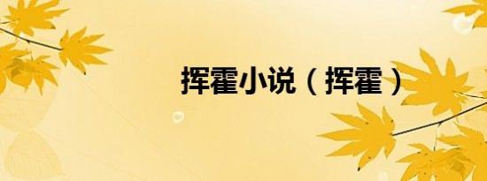 挥霍小说（挥霍）