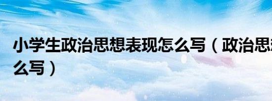 小学生政治思想表现怎么写（政治思想表现怎么写）