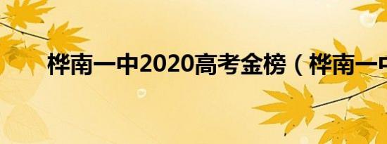 桦南一中2020高考金榜（桦南一中）