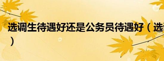 选调生待遇好还是公务员待遇好（选调生待遇）