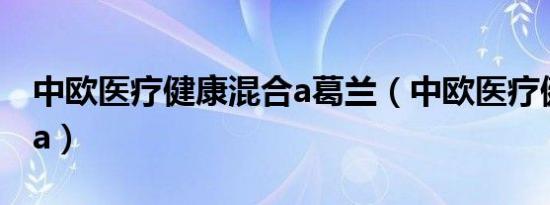 中欧医疗健康混合a葛兰（中欧医疗健康混合a）