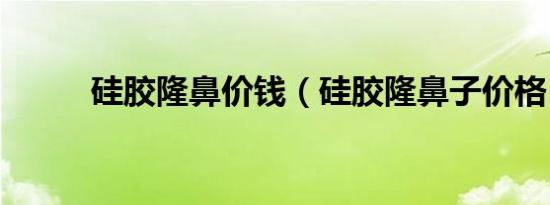 硅胶隆鼻价钱（硅胶隆鼻子价格）