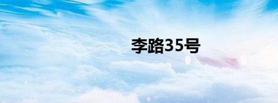 李路35号