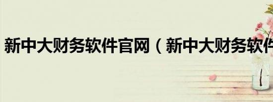 新中大财务软件官网（新中大财务软件价格）