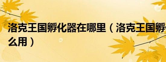 洛克王国孵化器在哪里（洛克王国孵化宝典怎么用）