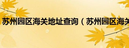 苏州园区海关地址查询（苏州园区海关地址）