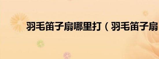 羽毛笛子扇哪里打（羽毛笛子扇）
