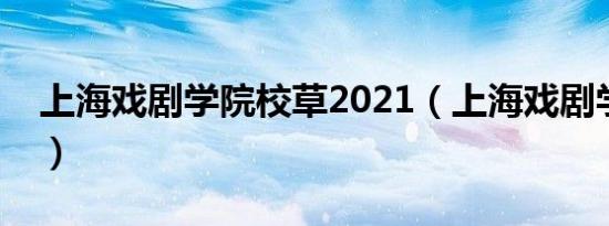 上海戏剧学院校草2021（上海戏剧学院校草）