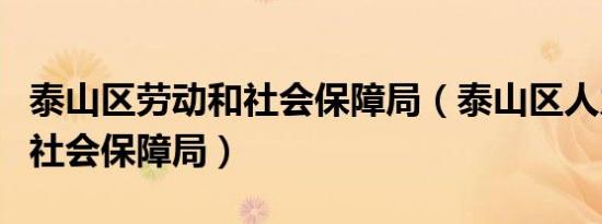 泰山区劳动和社会保障局（泰山区人力资源与社会保障局）
