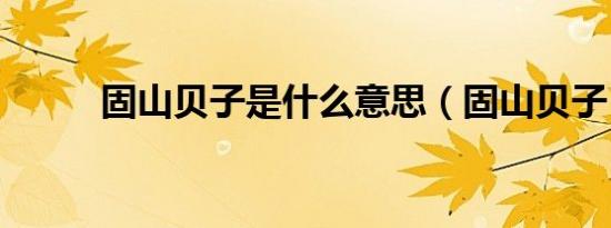 固山贝子是什么意思（固山贝子）