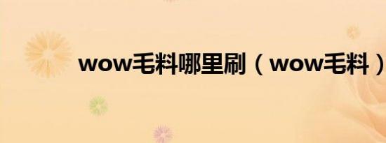 wow毛料哪里刷（wow毛料）