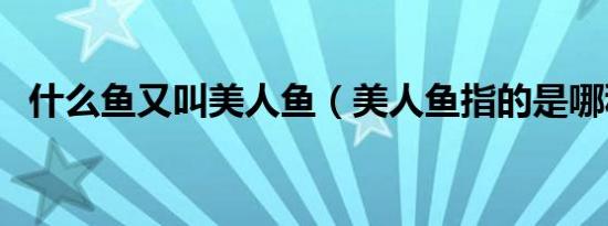 什么鱼又叫美人鱼（美人鱼指的是哪种鱼）