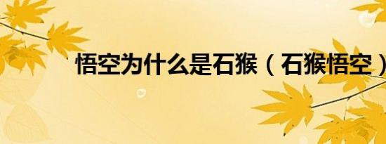 悟空为什么是石猴（石猴悟空）