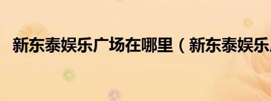 新东泰娱乐广场在哪里（新东泰娱乐广场）