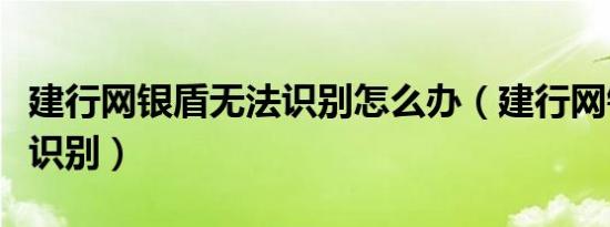 建行网银盾无法识别怎么办（建行网银盾无法识别）