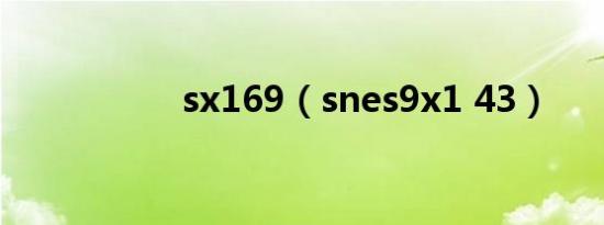 sx169（snes9x1 43）