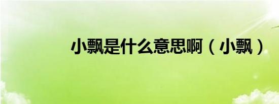 小飘是什么意思啊（小飘）