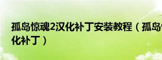 孤岛惊魂2汉化补丁安装教程（孤岛惊魂2汉化补丁）