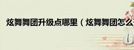 炫舞舞团升级点哪里（炫舞舞团怎么升级）