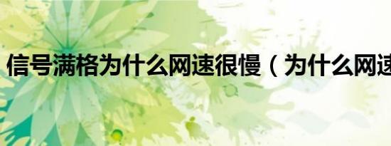 信号满格为什么网速很慢（为什么网速很慢）