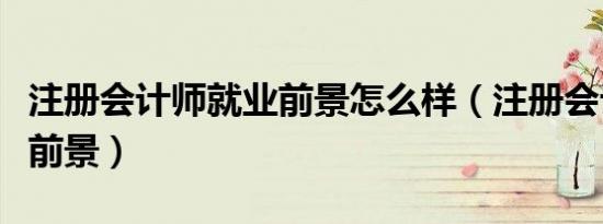 注册会计师就业前景怎么样（注册会计师就业前景）