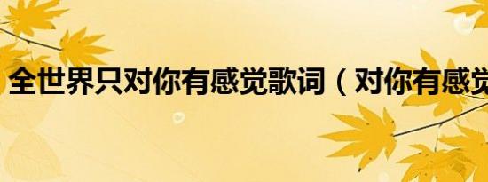 全世界只对你有感觉歌词（对你有感觉歌词）