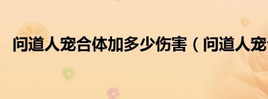 问道人宠合体加多少伤害（问道人宠合体）