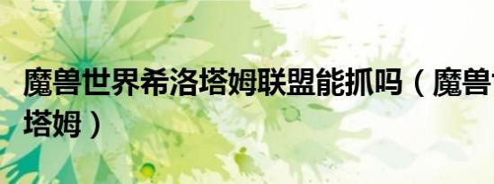 魔兽世界希洛塔姆联盟能抓吗（魔兽世界希洛塔姆）