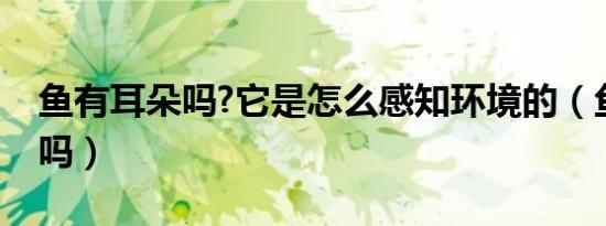 鱼有耳朵吗?它是怎么感知环境的（鱼有耳朵吗）