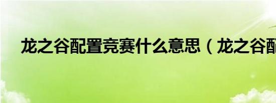 龙之谷配置竞赛什么意思（龙之谷配置）