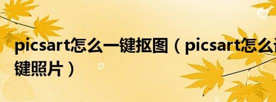 picsart怎么一键抠图（picsart怎么设置解锁键照片）