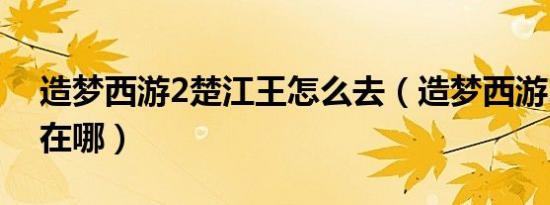 造梦西游2楚江王怎么去（造梦西游2楚江王在哪）