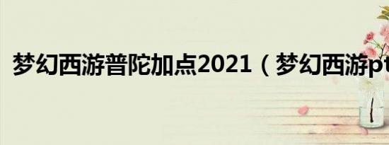 梦幻西游普陀加点2021（梦幻西游pt加点）