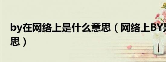 by在网络上是什么意思（网络上BY是什么意思）