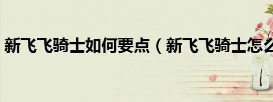 新飞飞骑士如何要点（新飞飞骑士怎么加点）