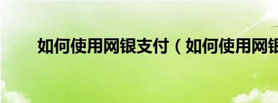 如何使用网银支付（如何使用网银）