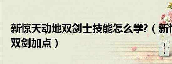 新惊天动地双剑士技能怎么学?（新惊天动地双剑加点）