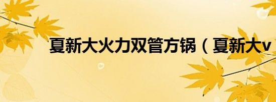 夏新大火力双管方锅（夏新大v）