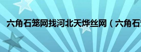 六角石笼网找河北天烨丝网（六角石笼网）