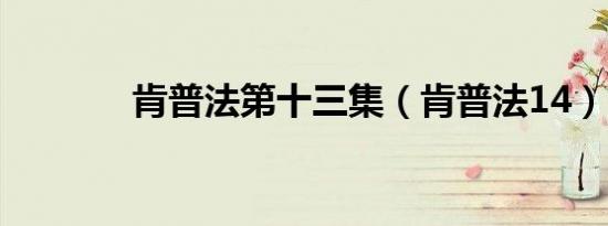 肯普法第十三集（肯普法14）