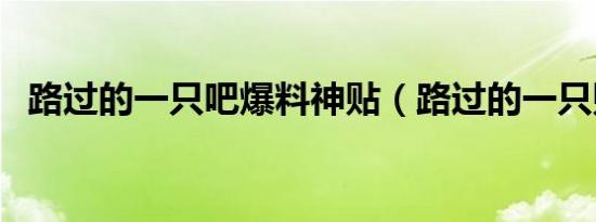 路过的一只吧爆料神贴（路过的一只贴吧）